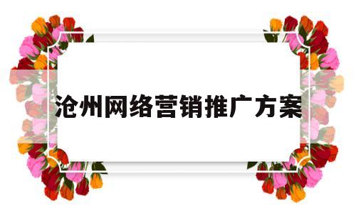 沧州网络营销推广方案(网络营销推广方案策划书)