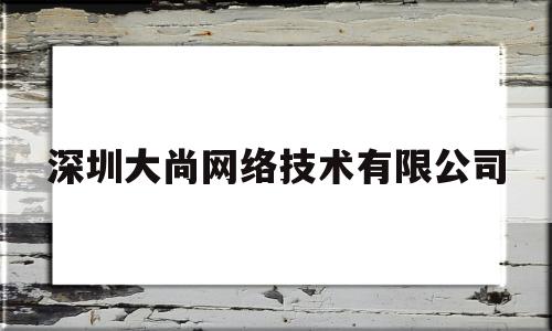 深圳大尚网络技术有限公司(深圳大尚网络技术有限公司官网)