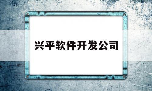 兴平软件开发公司(软件系统开发公司)