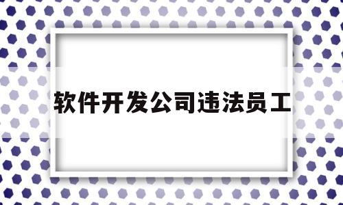 软件开发公司违法员工(软件开发公司违法员工怎么处理)