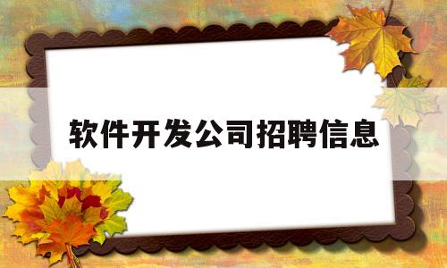 软件开发公司招聘信息(杭州软件开发公司招聘信息)