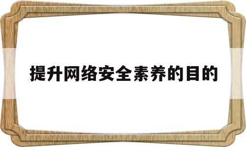 提升网络安全素养的目的(提升网络安全素养的目的是)