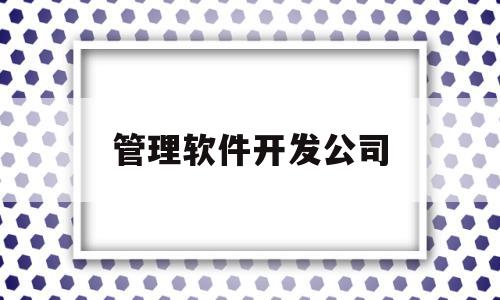 管理软件开发公司(企业管理软件开发的公司)