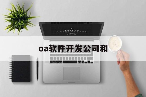 oa软件开发公司和(oa开发工程师)