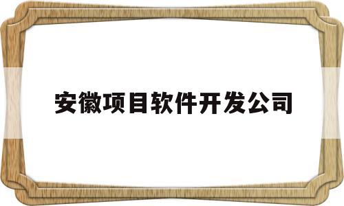 安徽项目软件开发公司(安徽项目软件开发公司排名)