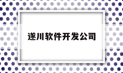 遂川软件开发公司(遂川企业)