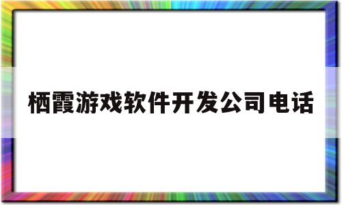 栖霞游戏软件开发公司电话(栖霞集团做什么的)