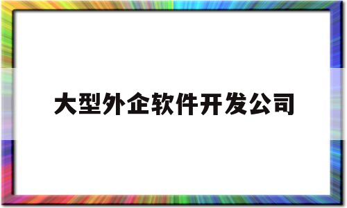 大型外企软件开发公司(大型外企软件开发公司)