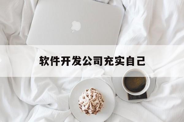 软件开发公司充实自己(软件开发公司如何盈利)