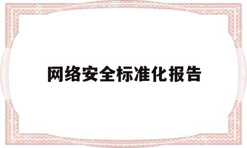 网络安全标准化报告(网络安全国标)