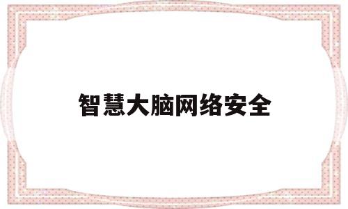 智慧大脑网络安全(智慧大脑大数据应用平台)