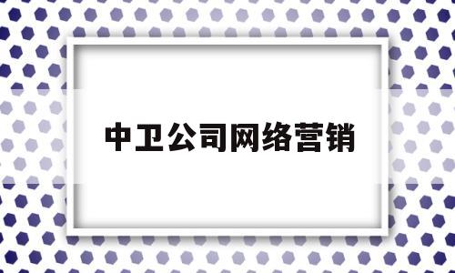 中卫公司网络营销(网络营销中心)