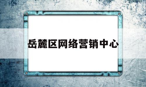 岳麓区网络营销中心(岳麓区专业的网站推广按效果付费)