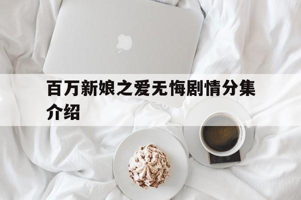 百万新娘之爱无悔剧情分集介绍(百万新娘之爱无悔每集简介)