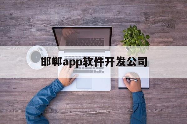 邯郸app软件开发公司(邯郸市软件开发公司)