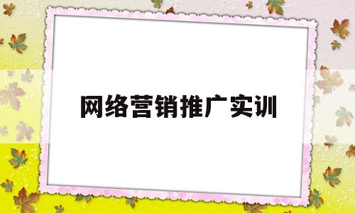 网络营销推广实训(网络营销实训内容怎么写)