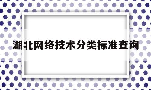 湖北网络技术分类标准查询(湖北信息网络安全协会)