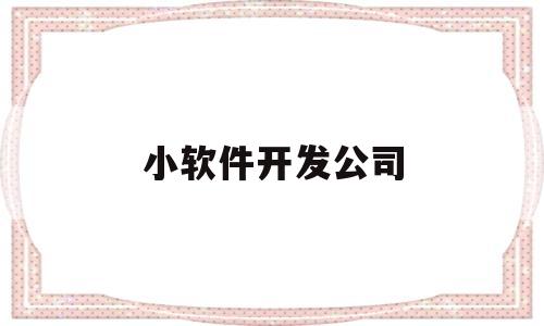 小软件开发公司(小软件开发公司多少人)