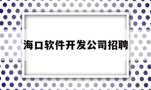 海口软件开发公司招聘(海南海口软件开发公司)