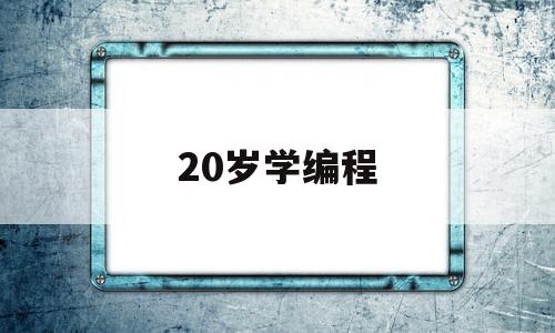 20岁学编程(20岁学编程怎么样)