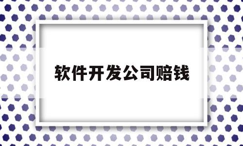 软件开发公司赔钱(软件开发公司赔钱是真的吗)