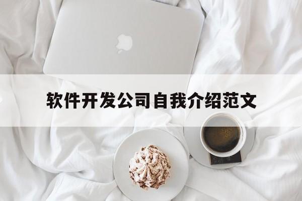 软件开发公司自我介绍范文(软件开发公司介绍怎么写)