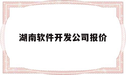 湖南软件开发公司报价(湖南软件定制开发)