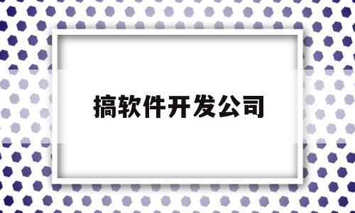 搞软件开发公司(做软件开发公司)