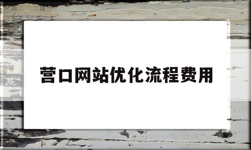 营口网站优化流程费用(网站优化收费标准)