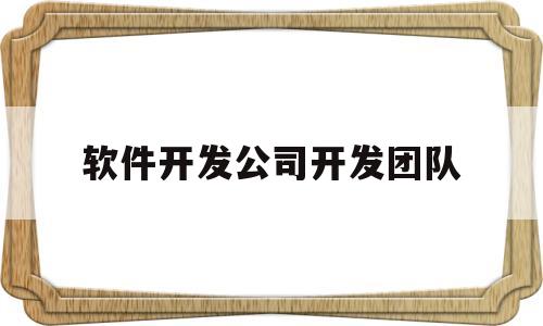 软件开发公司开发团队(软件开发公司开发团队有哪些)