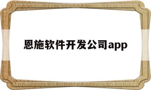 恩施软件开发公司app(恩施做软件标书质量排名)