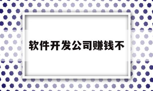 软件开发公司赚钱不(开软件开发公司容易吗)