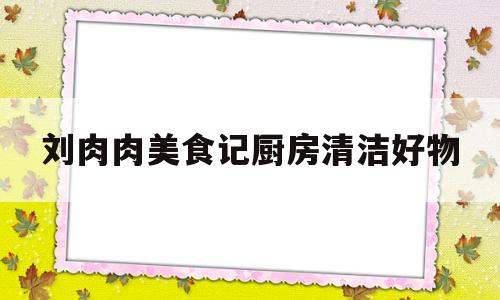 刘肉肉美食记厨房清洁好物(小厨娘美食记油管视频)