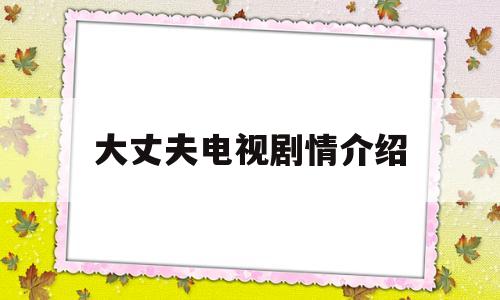 大丈夫电视剧情介绍(大丈夫电视剧 剧情)