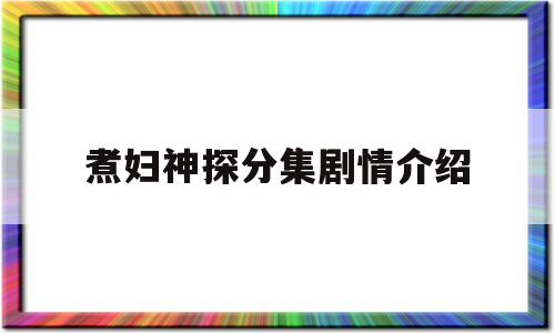 煮妇神探分集剧情介绍(煮妇神探主演演员列表)