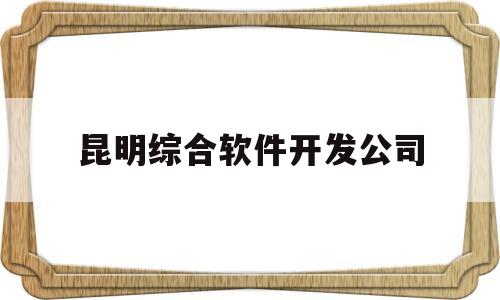 昆明综合软件开发公司(昆明 软件开发)