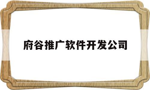 府谷推广软件开发公司(想做软件开发找哪家公司)