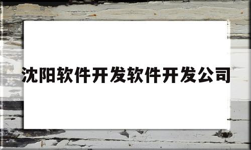 沈阳软件开发软件开发公司(沈阳软件开发软件开发公司排名)