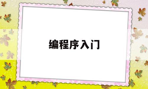 编程序入门(编程入门内容)