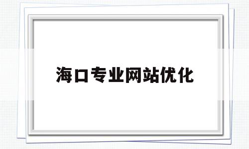 海口专业网站优化(海口网站建设解决方案)