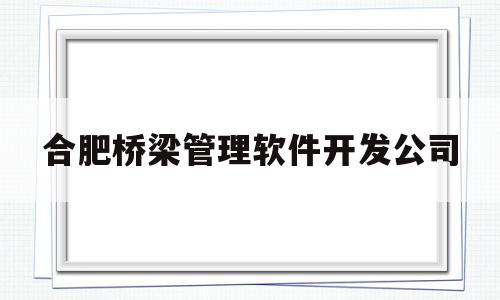 合肥桥梁管理软件开发公司(合肥桥梁网络科技有限公司)