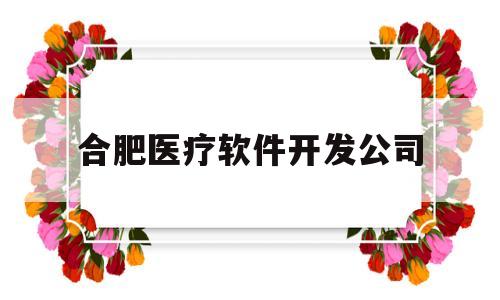 合肥医疗软件开发公司(合肥做医疗器械的公司)