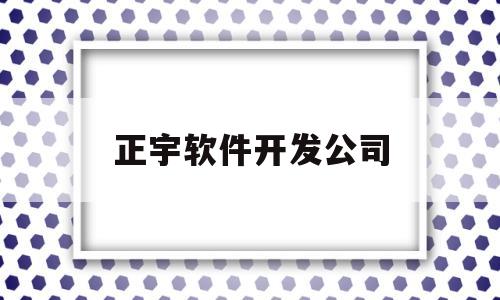 正宇软件开发公司(正宇软件开发公司招聘)