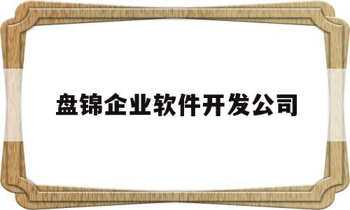 盘锦企业软件开发公司(盘锦软件科技有限公司)