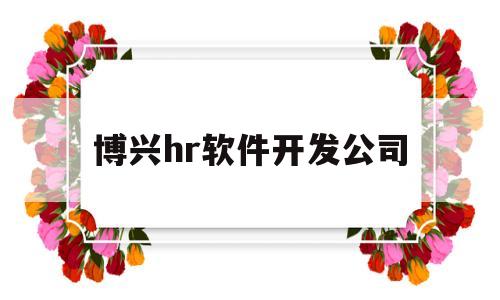 博兴hr软件开发公司(开发软件的公司)