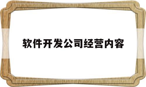 软件开发公司经营内容(软件开发经营范围怎么写最好)