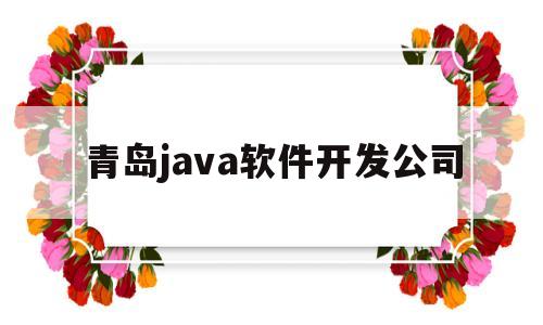 青岛java软件开发公司(青岛 软件开发)