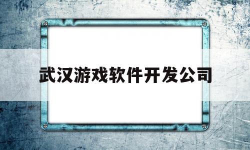 武汉游戏软件开发公司(武汉游戏软件开发公司)