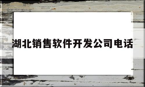 湖北销售软件开发公司电话(湖北销售软件开发公司电话是多少)