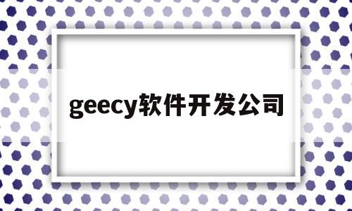 geecy软件开发公司(软件开发公司排名前十名)